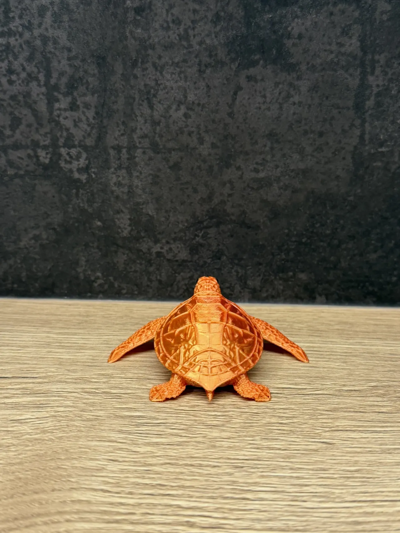 Sea Turtle view 3