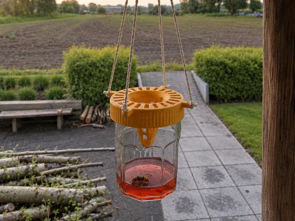 https://makerworld.bblmw.com/makerworld/model/USbfaccaa90ff019/design/0d147986a0892056.png