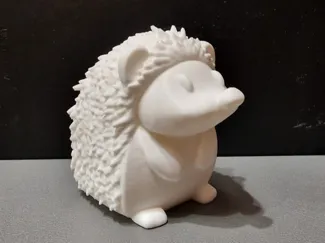 Adorable Hedgehog