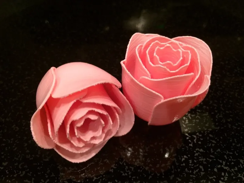 Rose Flower