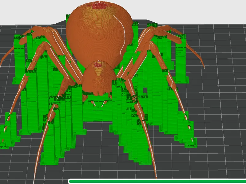 scarry spider