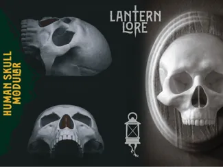 Human Skull Modular with Plaque
