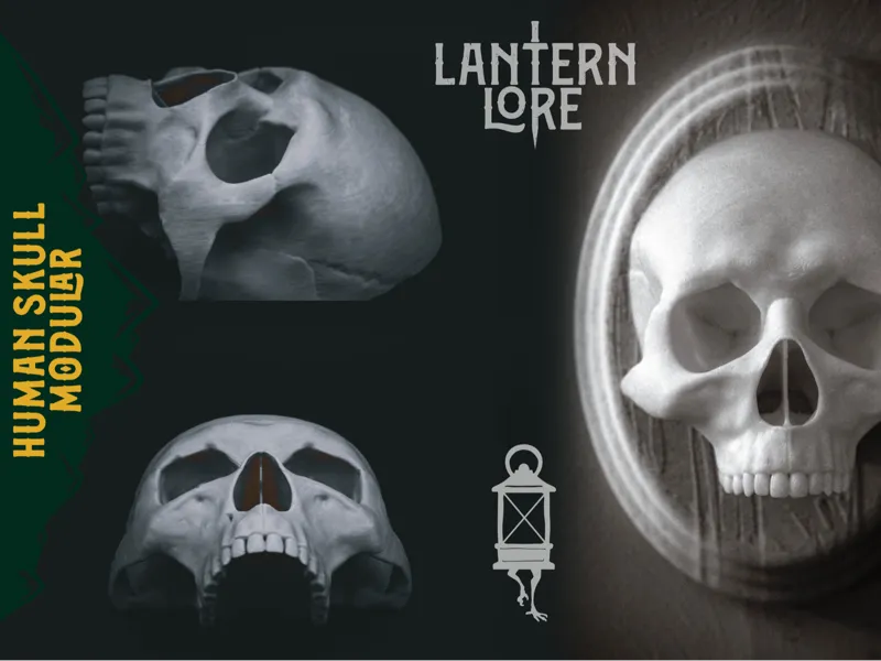 Human Skull Modular with Plaque