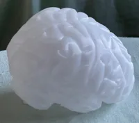 Cerveau anatomique — photo 4