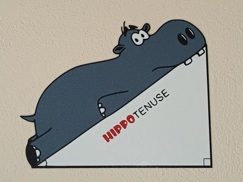 The "HIPPO"TENUSE
