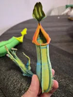 0.2mm layer, 3 walls, 7% infill