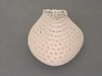 holly Vase