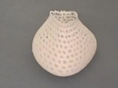 holly Vase
