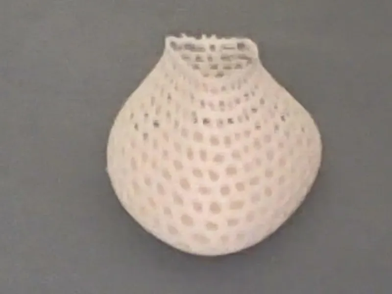 holly Vase