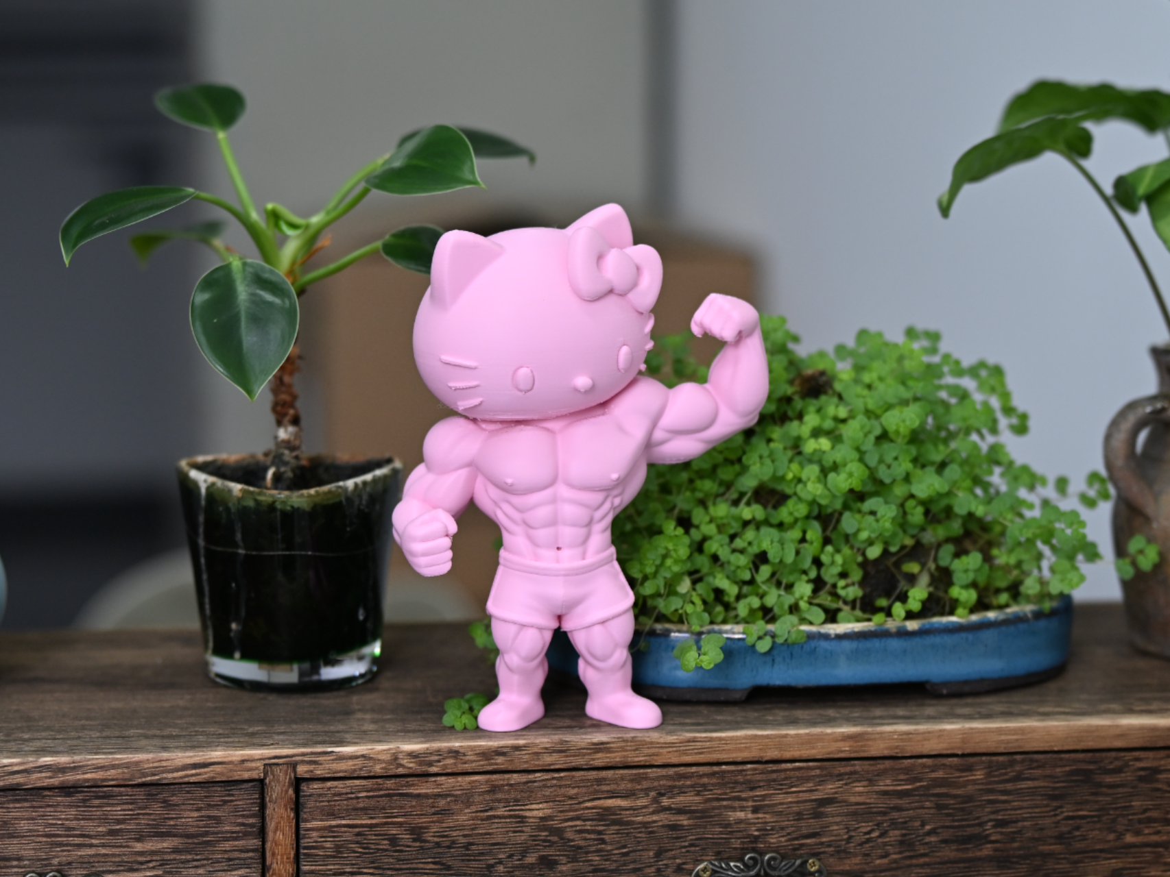 肌肉 Hello Kitty - 1