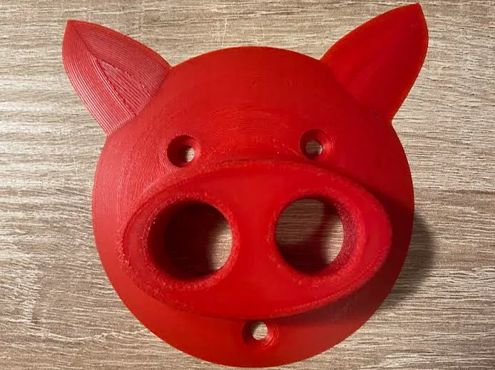 dual tex pocket climbing hold pig