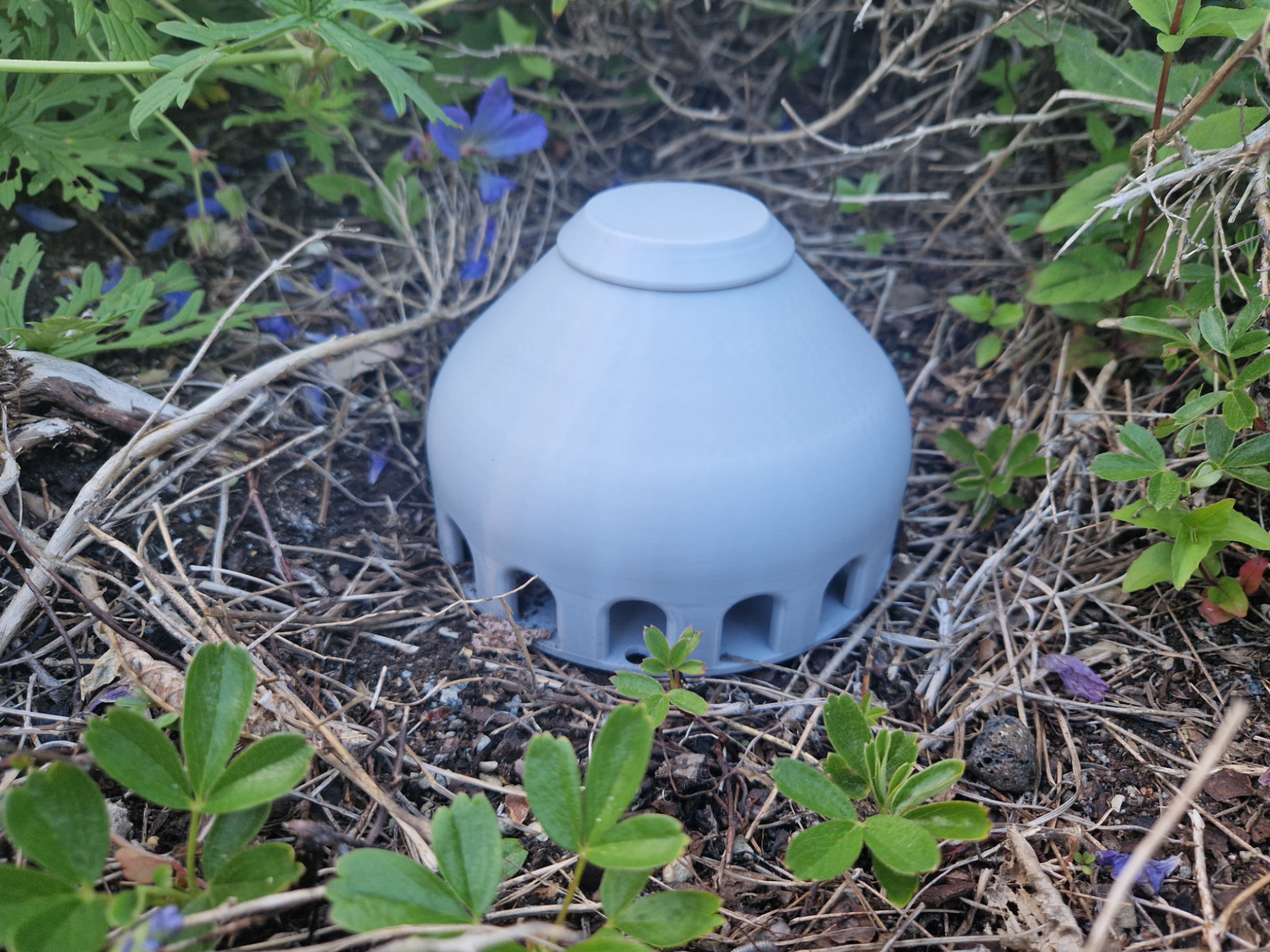 Snail trap "DOME"