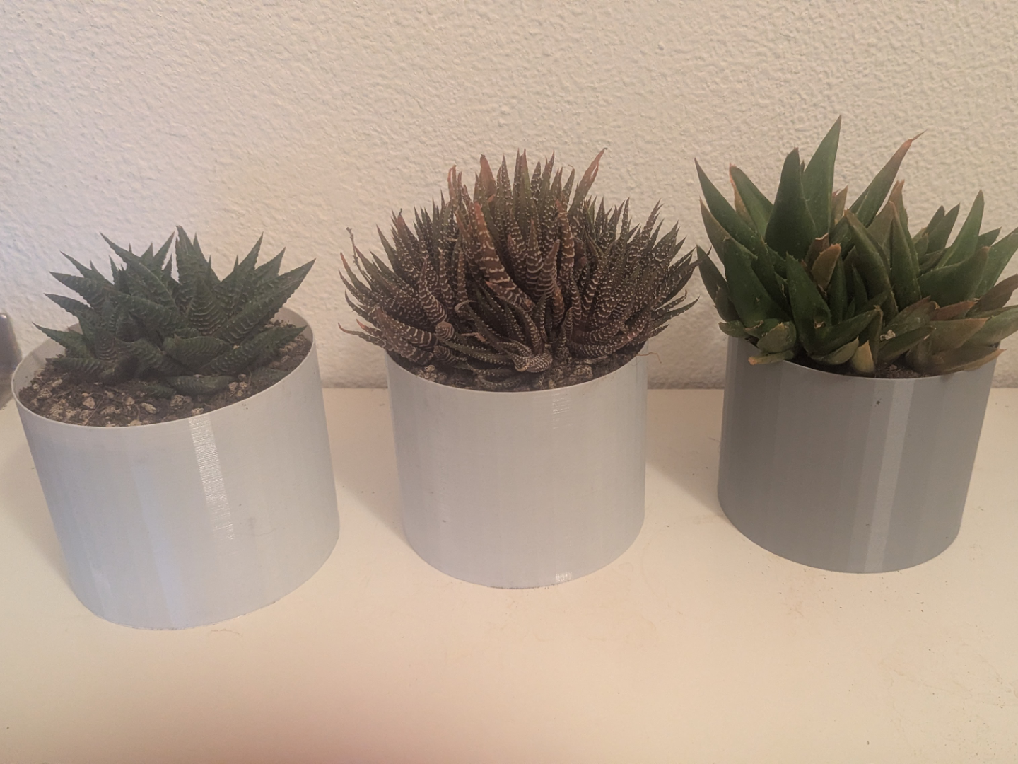 succulent pot 12 cm – 6 holes (47g / 75 min)