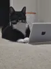 CatBook XL