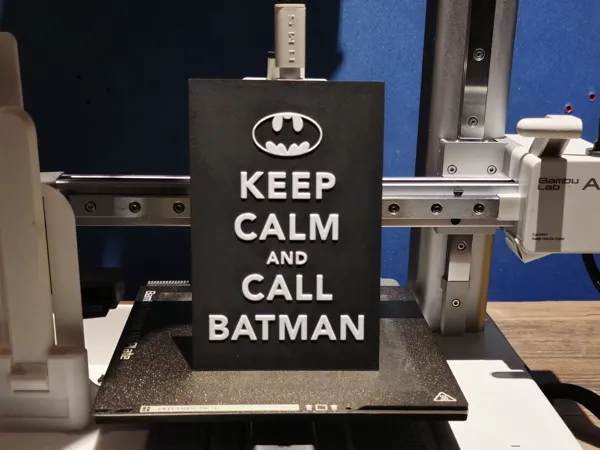 https://makerworld.bblmw.com/makerworld/model/USbfe392b09331f1/design/2024-07-22_f659263c0ec7c.jpg