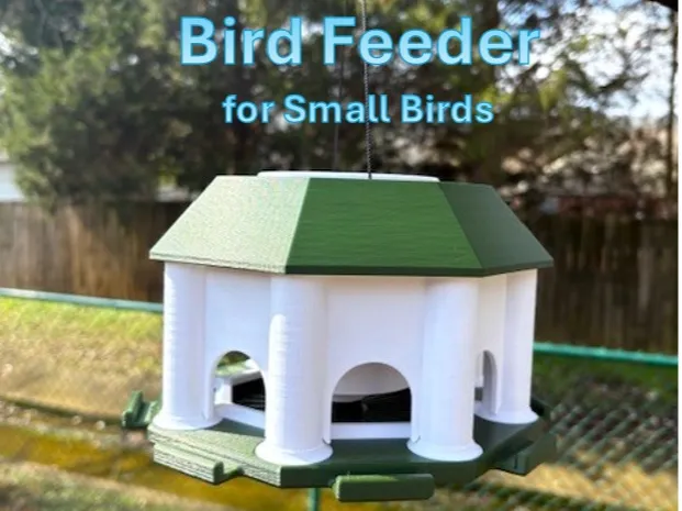 Bird Feeder for Small Birds
