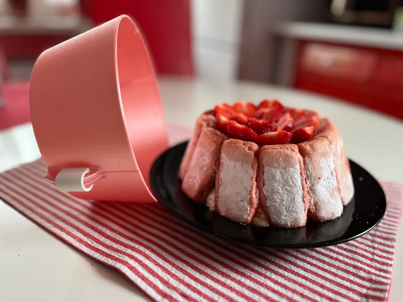 Charlotte split Mold