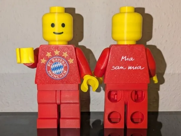 https://makerworld.bblmw.com/makerworld/model/USbfea66c6b3ba34/design/a0a05ff01e70eba5.png