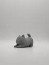 Size 75%