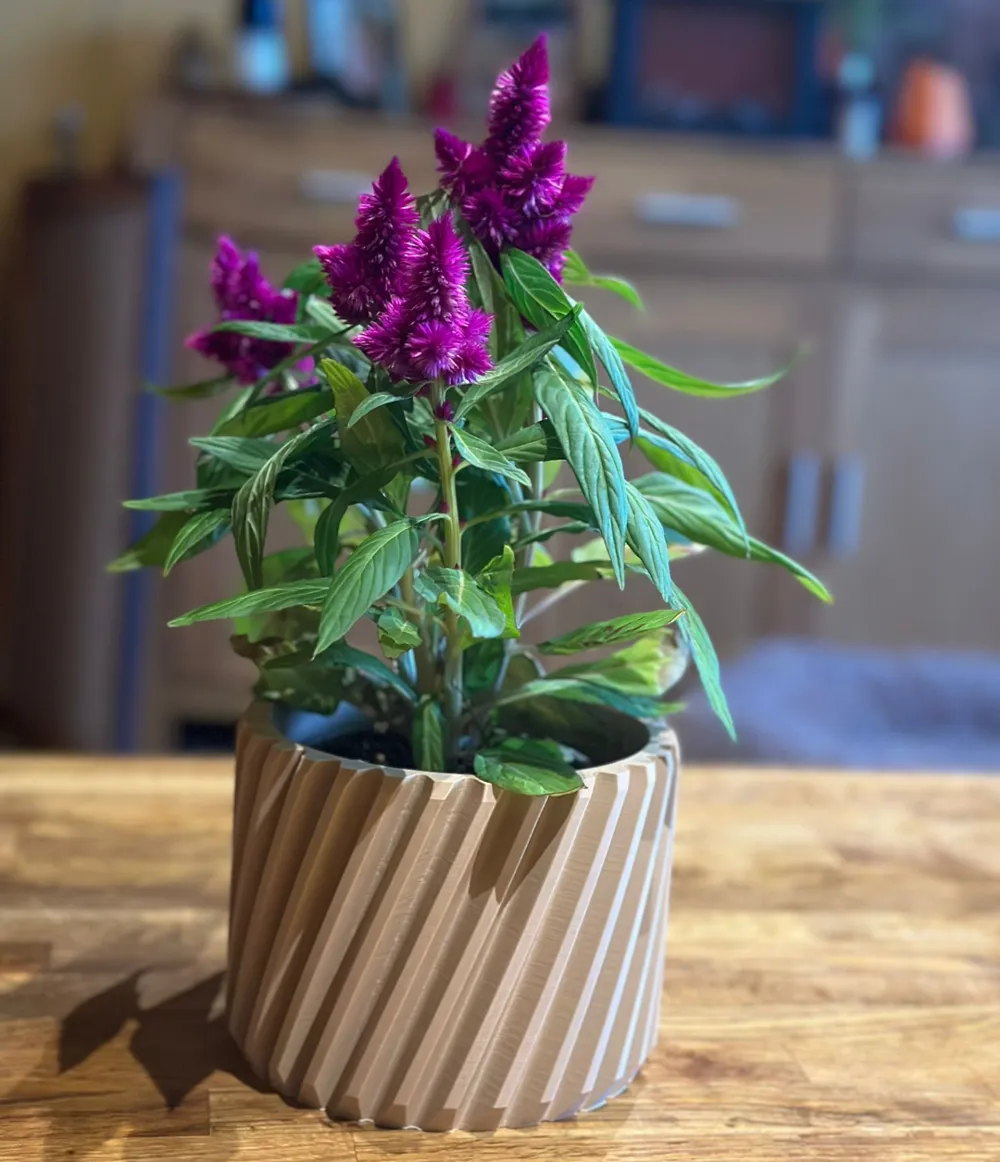 Planter-V1 by Solid - MakerWorld