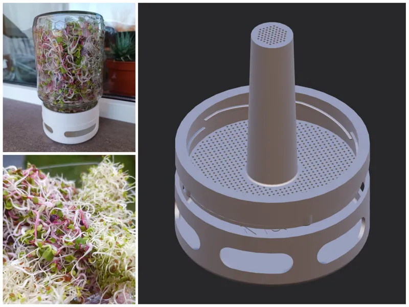 Sprouting Jar Base