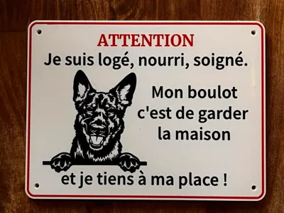 Malinois guard dog