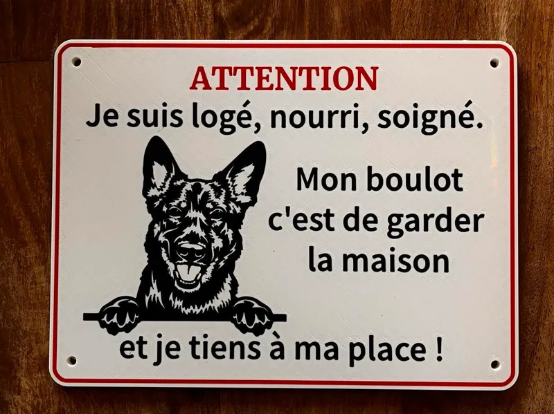 Malinois chien de garde 