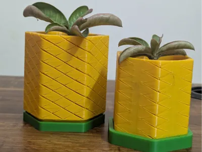 Customisable The Hex Pineapple Spiral Planter