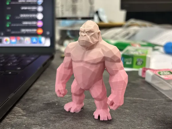https://makerworld.bblmw.com/makerworld/model/USc02035b386b7d7/design/2025-07-12_64ebdca9e036.jpeg