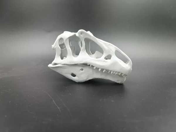 https://makerworld.bblmw.com/makerworld/model/USc0206c7bd5cc05/design/2025-04-19_f63246ee2bdf08.jpg
