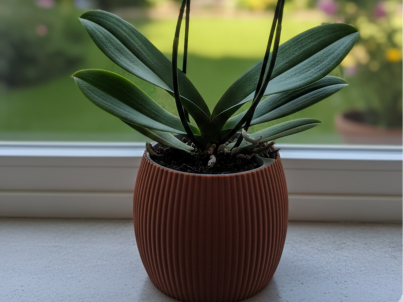 Self-Watering Ribbed Vase