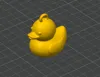 Duck One Color