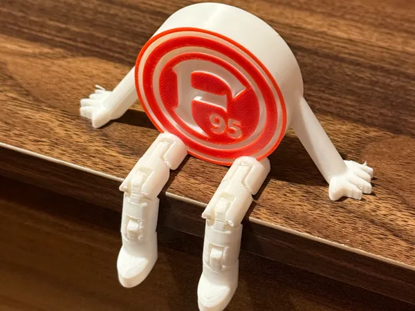 https://makerworld.bblmw.com/makerworld/model/USc02cd3e5004e9a/design/2025-07-31_0571ee2298d71.jpeg