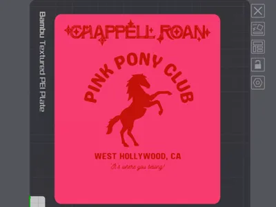 Chappell Roan DISCOGRAFInity Vinyl Record Divider