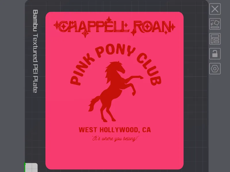 Chappell Roan DISCOGRAFInity Vinyl Record Divider