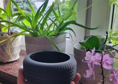 Tire flower pot Bridgestone cactus organiser