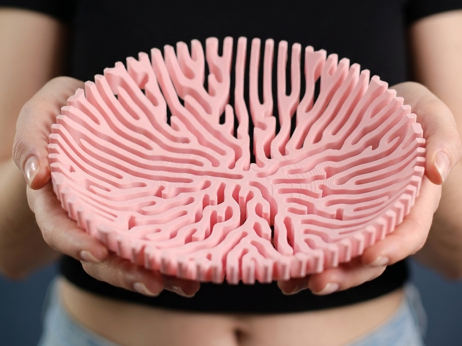 Coral Catch All Bowl. Organically Grown Design - 1