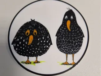 coaster