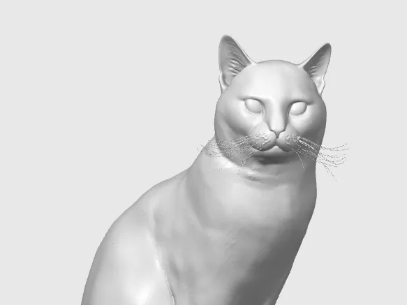 CAT Certosino