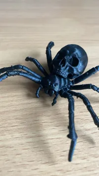 Medium skull spider