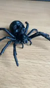 Large skull spider