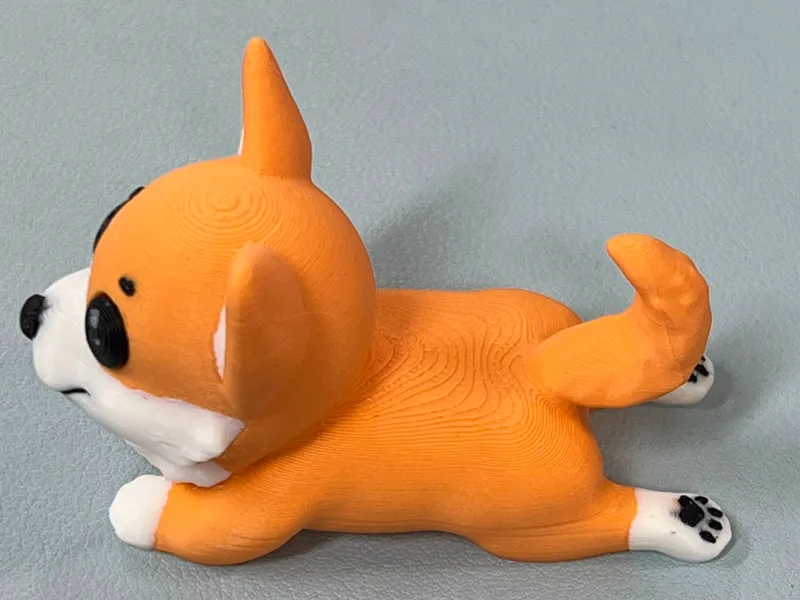 AMS - Cute Corgi Sploot