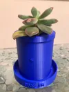 Plant Pot Saucer
