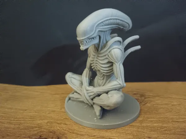 https://makerworld.bblmw.com/makerworld/model/USc04b02c27de1fc/design/2025-09-05_539d34509133.jpg