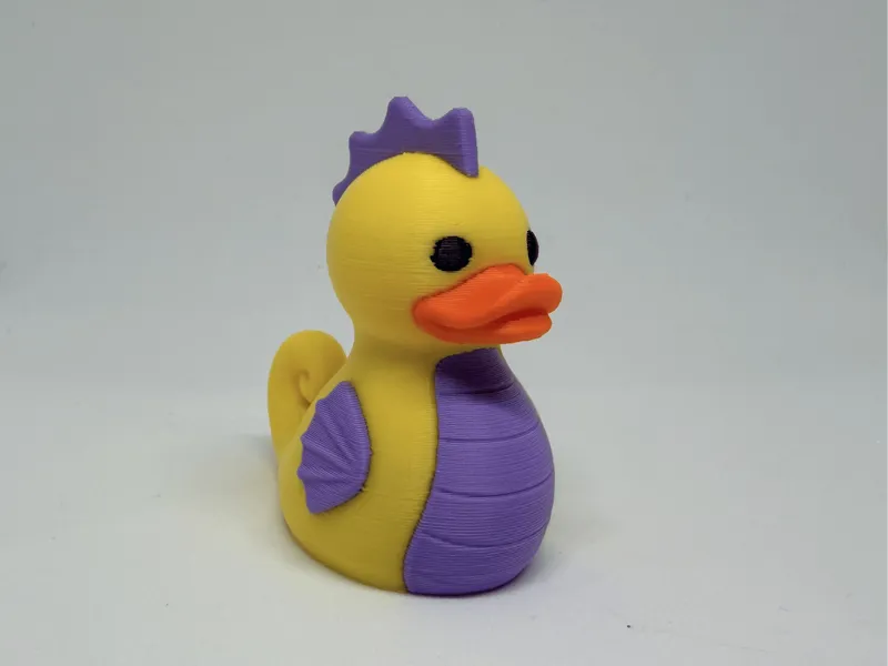 Seahorse Duck