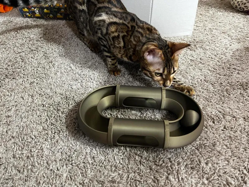 Modular Cat ball track
