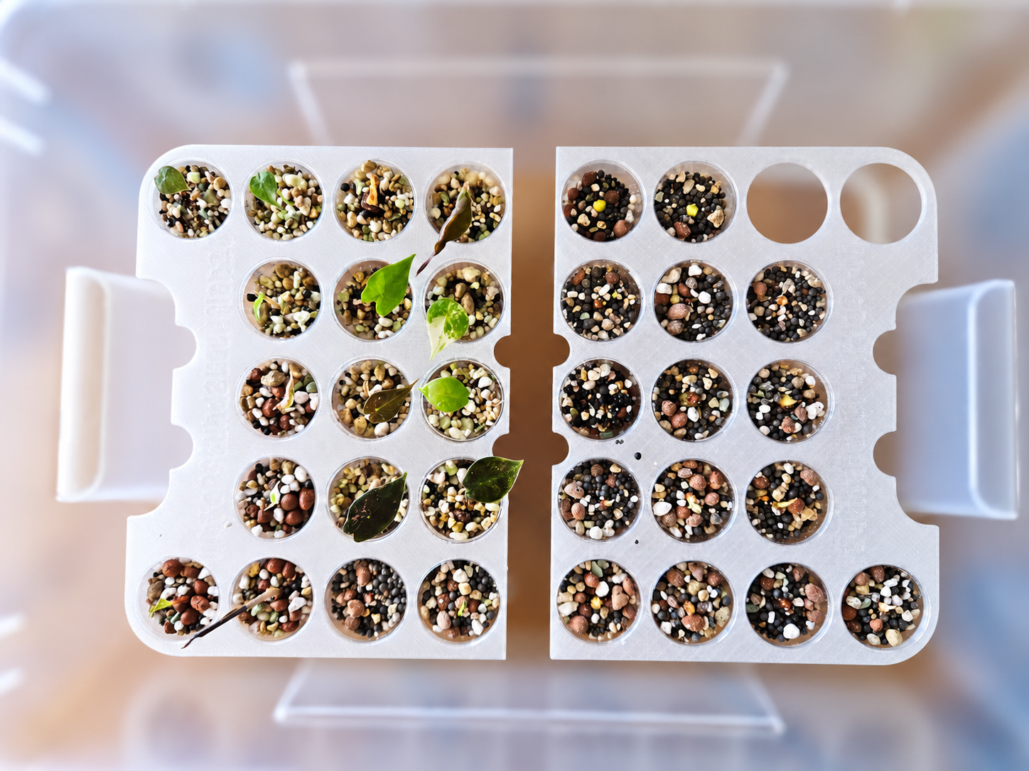 Anzuchtsystem für IKEA SAMLA 11L - 3D printed Garden, in stock in India