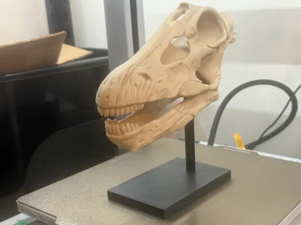 https://makerworld.bblmw.com/makerworld/model/USc05097b0edd35/design/4c0afa232267983c.jpg