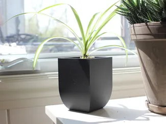 Curved Plant Pot