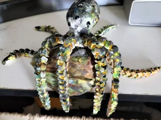 pulpo piedra cofre